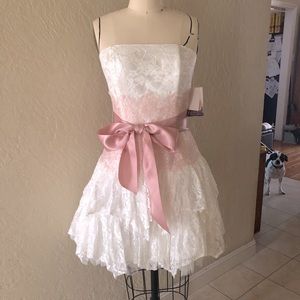 Pastel pink & white lace Jessica McClintock dress